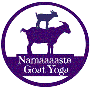 Namaaaaste Goat Yoga