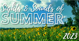 Sights and Sounds of Summer Concert Series