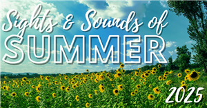 Sights and Sounds of Summer 2025