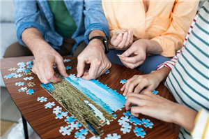 Puzzle Palooza