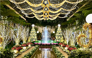 Longwood Gardens at Night